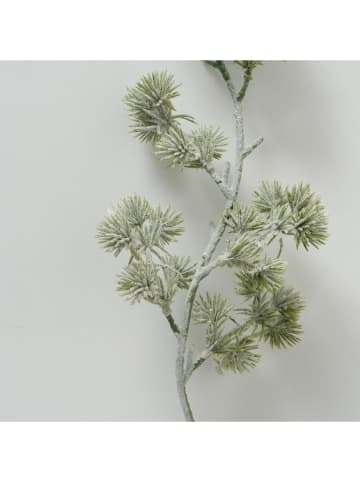 Boltze Decoratieve tak "Dennen" groen/wit - (L)180 cm