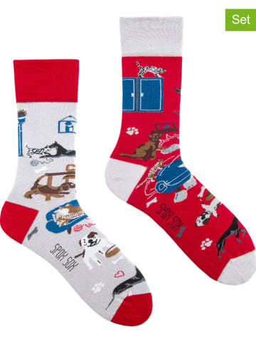 Spox Sox 2-delige set: sokken "Cat and Dog Life" grijs/rood