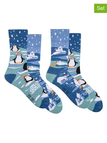 Spox Sox 2-delige set: sokken "Winter" blauw