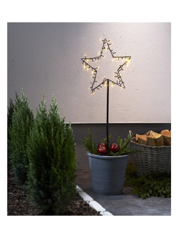 STAR Trading Ledtuinsteker "Spiky" warmwit - (B)32 x (H)92 cm