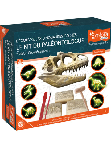 MGM Experimenteerset "Dinosaurussen" - vanaf 6 jaar