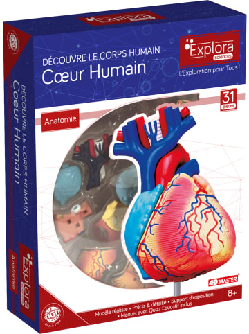 MGM Zestaw naukowy - 8+