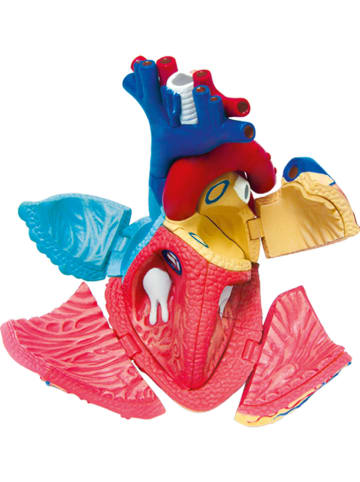 MGM Bausatz "Herz" - ab 8 Jahren