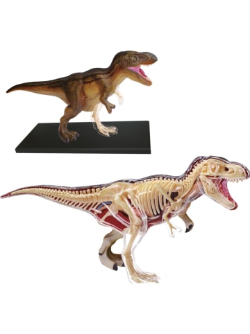MGM Bouwset "Tyrannosaurus Rex" - vanaf 8 jaar
