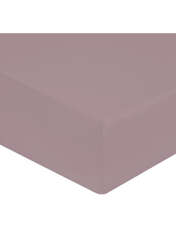 Soft by Perle de Coton Perkal-Spannbettlaken in Lila