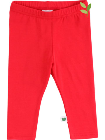 Fred´s World by GREEN COTTON Legginsy w kolorze czerwonym