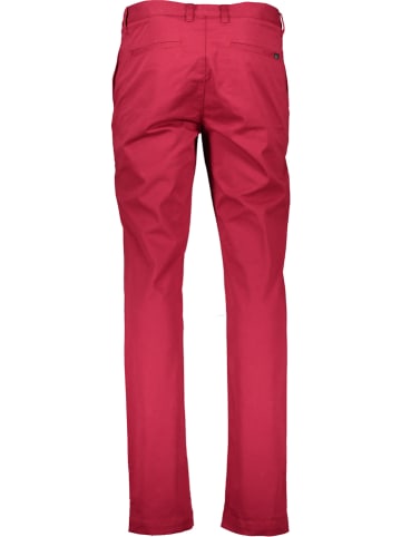 Lacoste Spodnie chino w kolorze fuksji