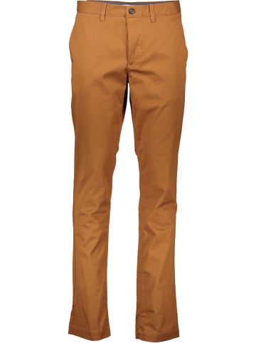 Lacoste Chino in Camel