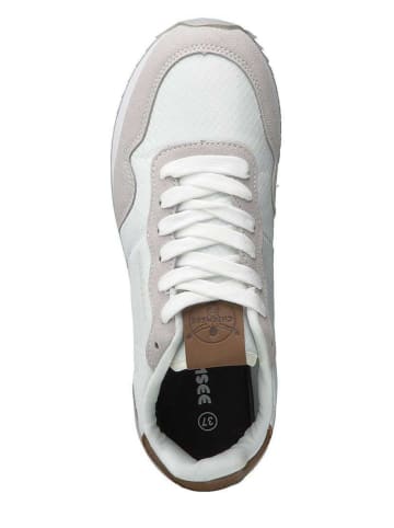 Chiemsee Sneakers wit/beige
