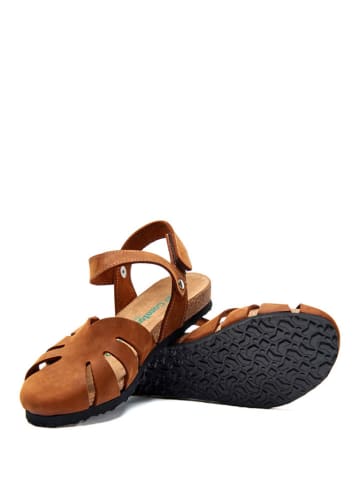 Comfortfusse Leder-Sandalen in Braun