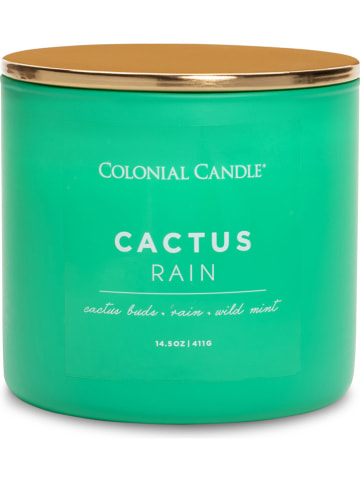Colonial Candle Duftkerze "Cactus Rain" in Grün - 411 g