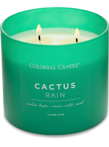 Colonial Candle Duftkerze "Cactus Rain" in Grün - 411 g