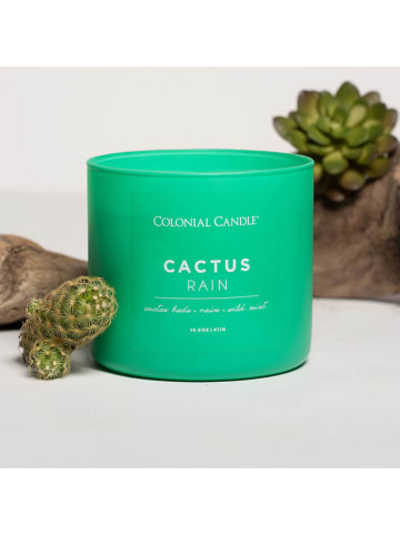 Colonial Candle Duftkerze "Cactus Rain" in Grün - 411 g