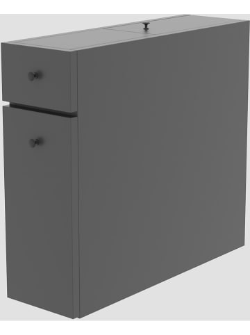 Evila Badkamerkast "Calencia" grijs - (B)19 x (H)55 x (D)60 cm