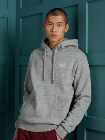 Superdry Hoodie lichtgrijs