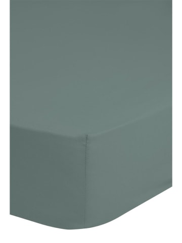 Good Morning Dżersejowe prześcieradło w kolorze zielonym na gumce