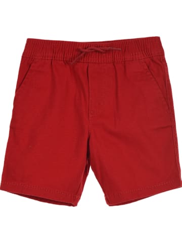 Levi's Kids Szorty chino w kolorze czerwonym