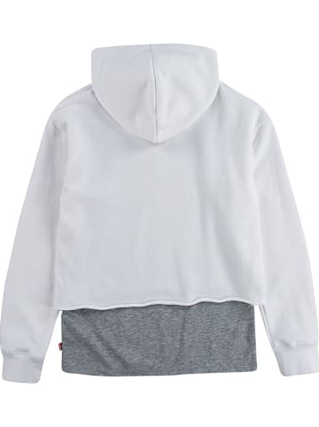 Levi's Kids Sweatshirt grijs