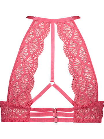 LASCANA Push-up-BH in Koralle