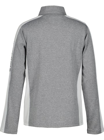 Icepeak Functioneel shirt "Fleminton" grijs