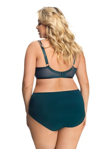 Gorsenia Beugelbeha petrol