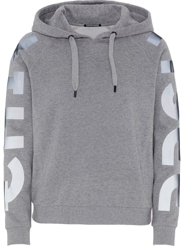 Chiemsee Sweatshirt "Denali" grijs