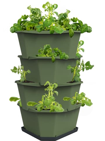 Gusta Garden Kartoffelturm "Paul Potato" in Grün - (B)44 x (H)65 x (T)44 cm