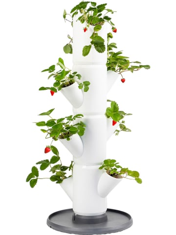 Gusta Garden System sadzenia "Sissi Strawberry Starter" w kolorze białym - wys. 77 cm