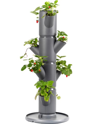 Gusta Garden System sadzenia "Sissi Strawberry Starter" w kolorze szarym - wys. 77 cm