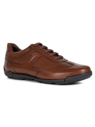 Geox Skórzane sneakersy "Edgware" w kolorze brązowym