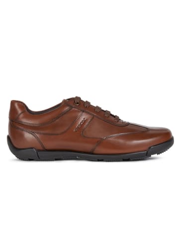 Geox Leren sneakers "Edgware" bruin