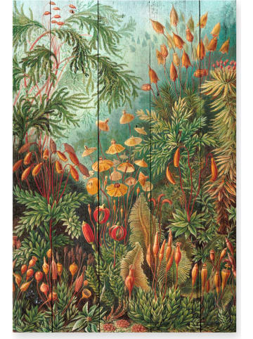 Madre Selva Holzdruck "Deep Forest" - (B)40 x (H)60 cm