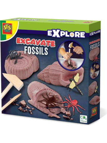 SES Experimenteerset "Fossielen opgraven" - vanaf 4 jaar