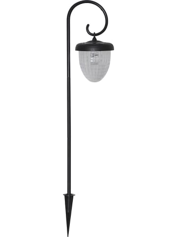 STAR Trading Ledsolartuinsteker "Bellota" zwart - (H)51 cm