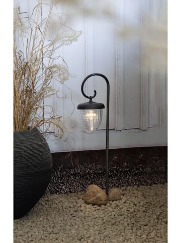 STAR Trading Ledsolartuinsteker "Bellota" zwart - (H)51 cm