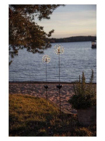 STAR Trading Ledsolartuinsteker "Firework" zwart - (H)85 cm