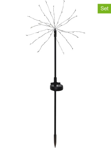 STAR Trading 2-delige set: ledsolartuinstekers "Firework" zwart - (H)60 cm