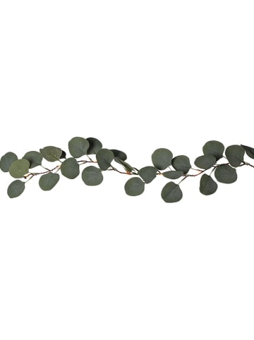 STAR Trading LED-Eukalyptuszweig "Eucalyptus" in Grün - (L)180 cm