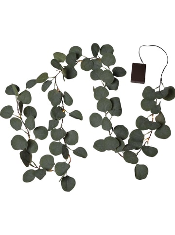 STAR Trading Ledeucalyptustak "Eucalyptus" groen - (L)180 cm
