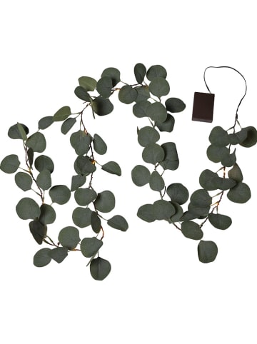 STAR Trading LED-Eukalyptuszweig "Eucalyptus" in Grün - (L)180 cm