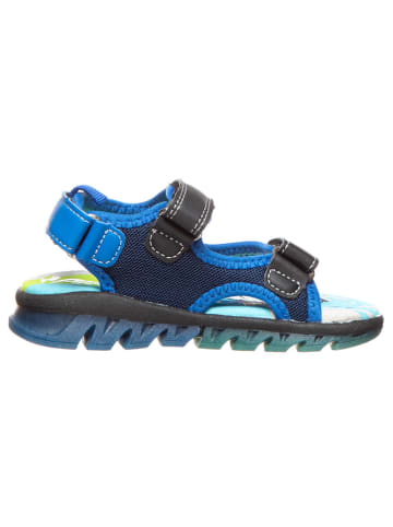 Primigi Sandalen in Dunkelblau/ Blau