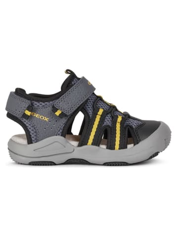 Geox Enkelsandalen "Kraze" grijs