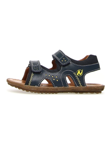 Naturino Leren sandalen "Himmel" donkerblauw
