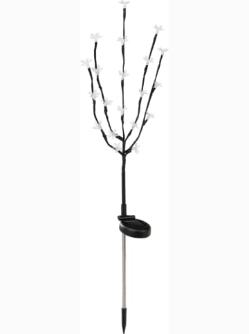Profigarden Ledsolartuinsteker "Kersenbloesem" meerkleurig - (B)15 x (H)80 cm