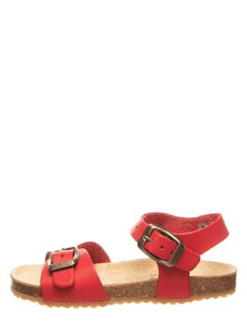 billowy Sandały w kolorze czerwonym