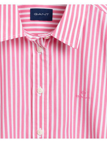 Gant Blouse lichtroze/wit