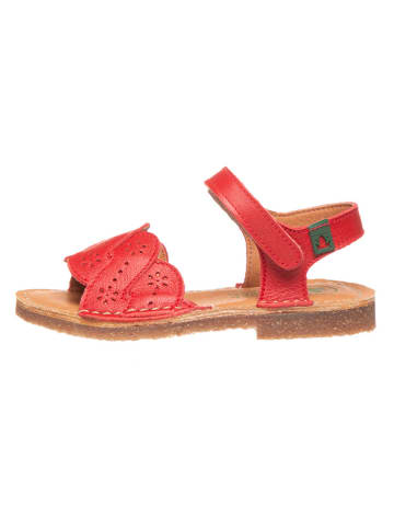 El Naturalista Leder-Sandalen in Rot
