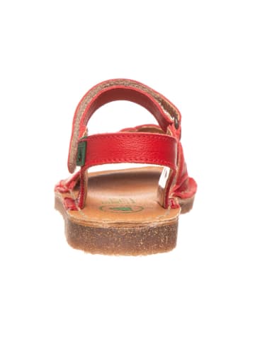 El Naturalista Leder-Sandalen in Rot