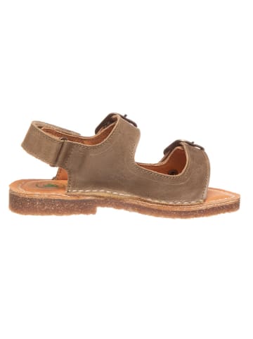 El Naturalista Leder-Sandalen in Khaki