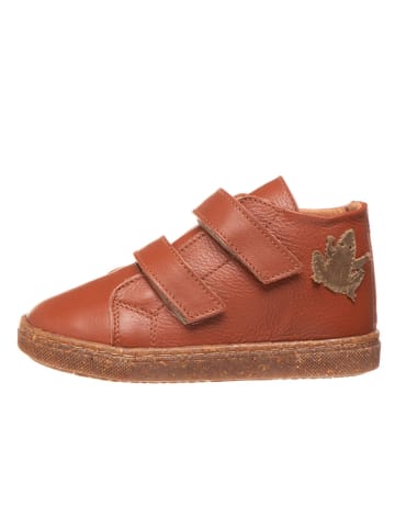 El Naturalista Leren sneakers bruin